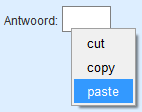 antwoordvak met paste